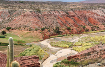 Argentinian North Western